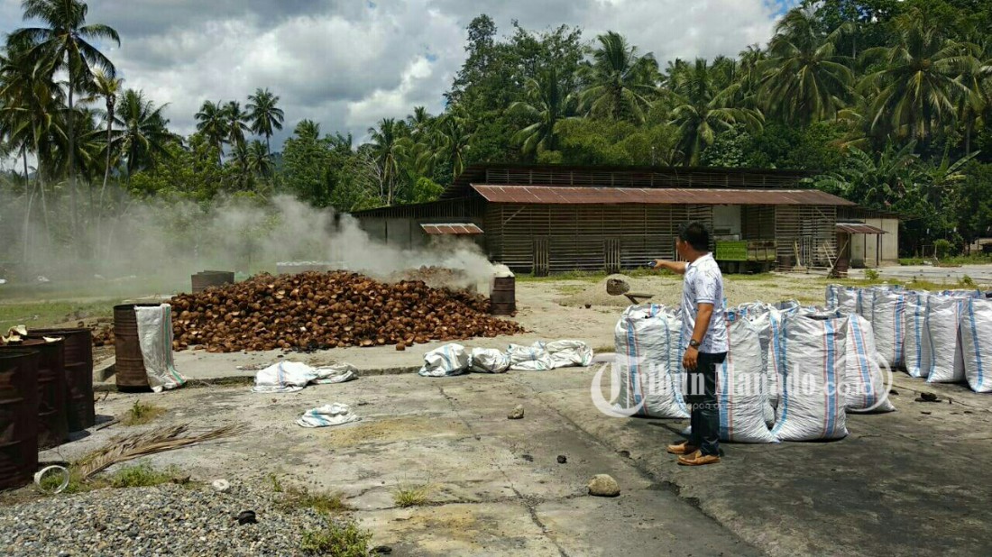 Disperindagkop Bolsel Berdayakan Produk Ikutan Kelapa Jadi Energi Terbarukan
