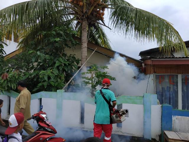 fogging-cegah-dbd.jpg