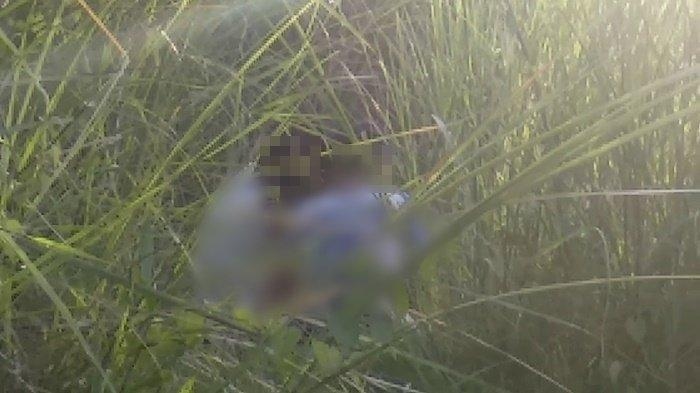 Bikin Geleng-geleng, Bocah SD dan SMP Lecehkan Balita Tiga Tahun di Semak-semak