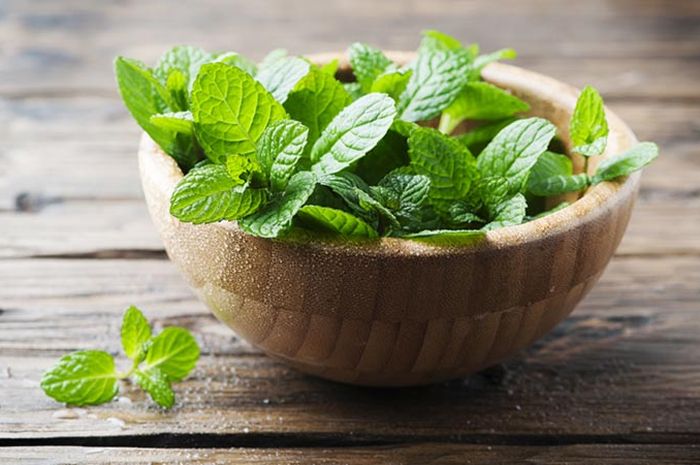 foto-ilustrasi-daun-mint.jpg