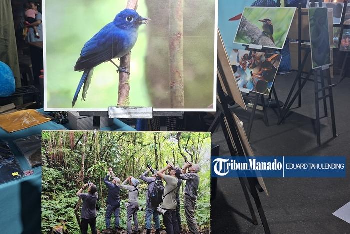 foto-wisatawan-asing-datang-ke-Sangihe-Sulut-untuk-mengamati-burung-endemik.jpg