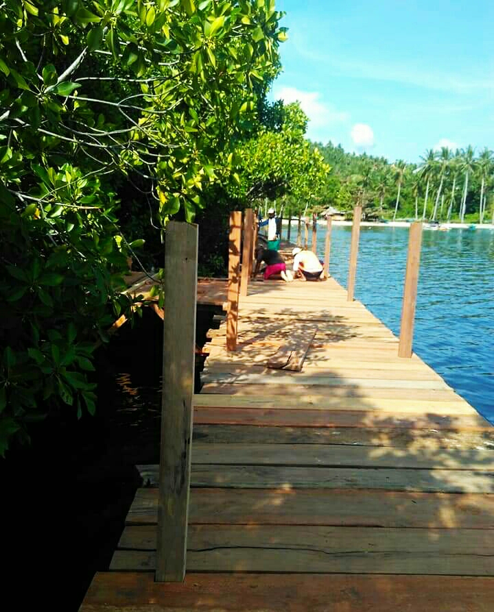 Pembangunan Objek Wisata Mangrove Transpatoa Terus Berkembang