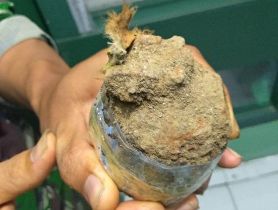 Cangkul Pria Ini Menyentuh Benda Keras, Ternyata Membentur Granat Tangan yang Sudah Berkarat