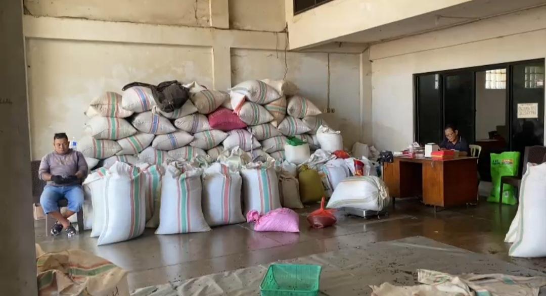 Info Harga Cengkeh di Manado Rabu 16 Oktober 2024, Petani Mengeluh Keuntungan Tipis