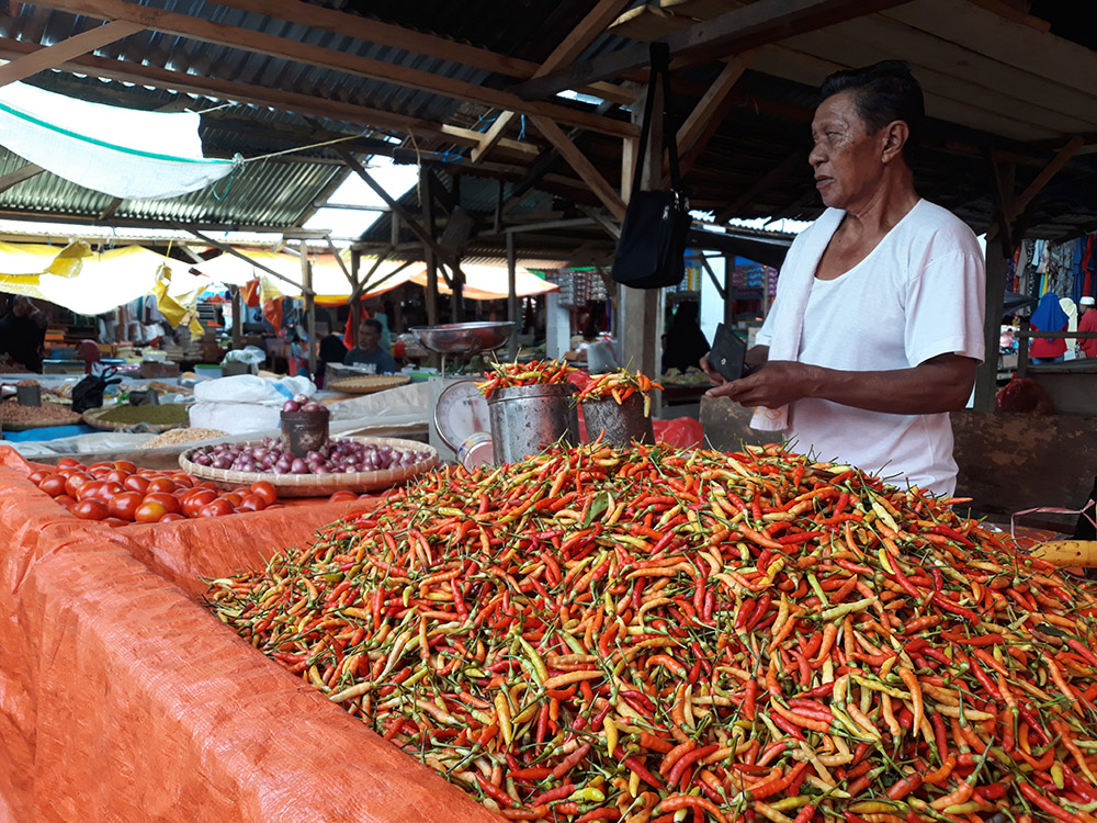 harga-cabai-di-bolsel-turun-jadi-rp-75-ribu.jpg