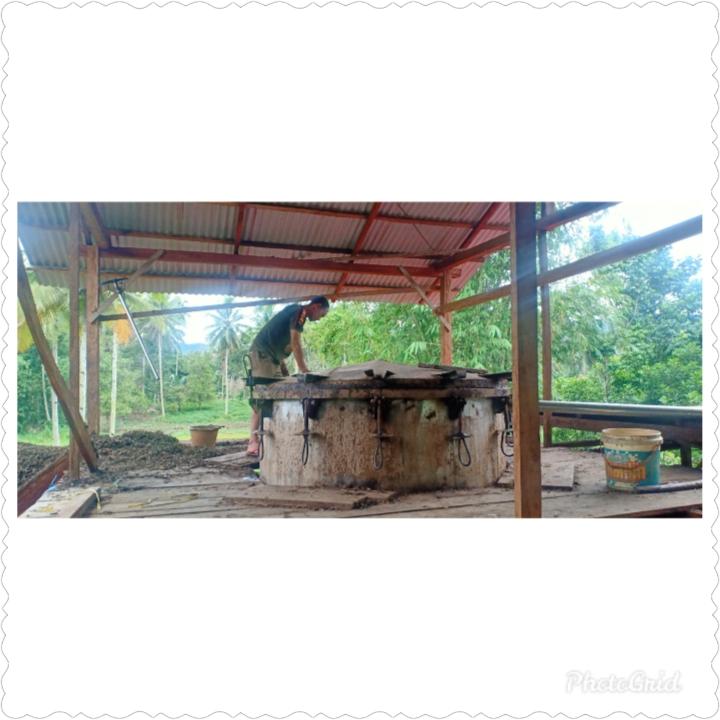 Update Harga Minyak Nilam Terbaru di Sulawesi Utara