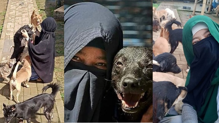 Masih Ingat Hesti Sutrisno? Wanita Bercadar Pecinta Anjing, Pelihara Puluhan Ekor, Ditolak Warga
