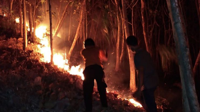 hutan-gunung-bancak-terbakar_20181015_110531.jpg