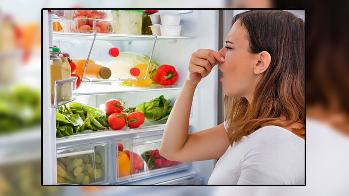 Jangan Sembarangan Simpan Makanan Dalam Kulkas, Tak Semua Bahan Bisa Bertahan