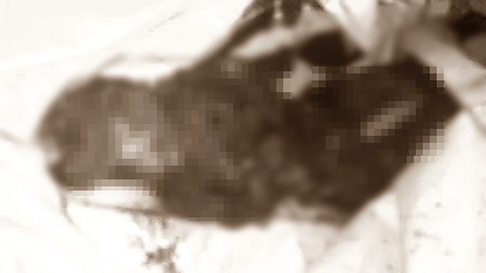 Bocah Dibakar Hidup-hidup oleh Ibu Kandung yang Ketahuan Selingkuh, Dicecoki Bensin, Kakaknya Nangis