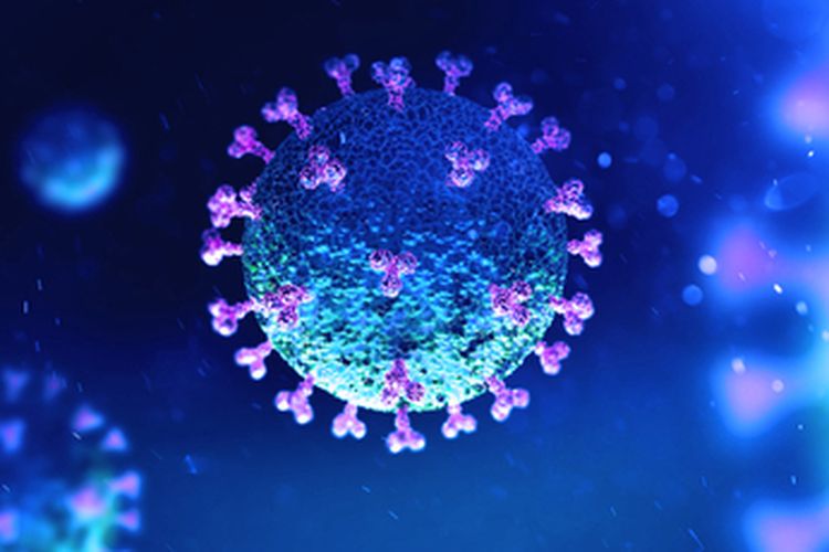 ilustrasi-corona-virus-covid-19-37434734.jpg