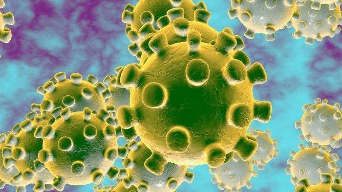 Seorang Pria Tularkan Virus Corona ke Istri, Anak, Keponakan, Totalnya 11 Orang Satu Keluarga