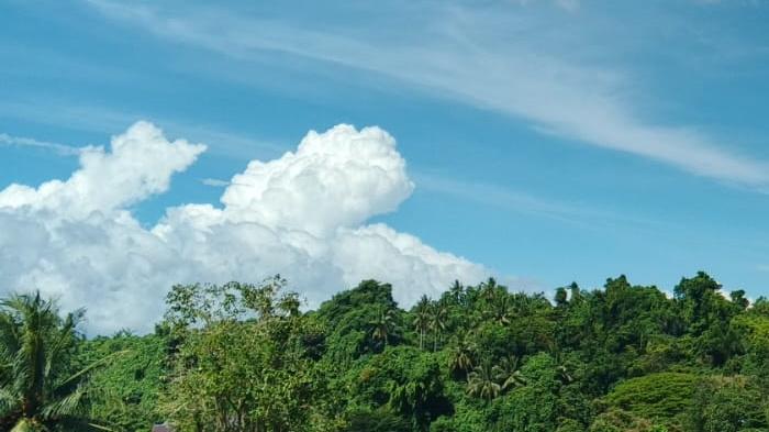 Info BMKG Cuaca Sulawesi Utara Besok Kamis 16 April 2026