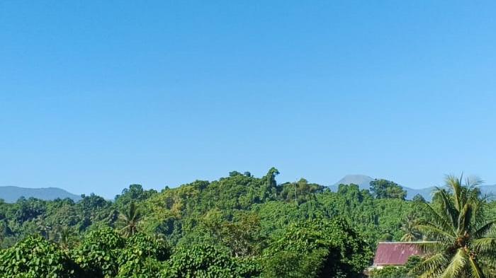 Info BMKG Cuaca Sulawesi Utara Besok Jumat 1 Mei 2026, Sejumlah Wilayah di Sulut Potensi Hujan