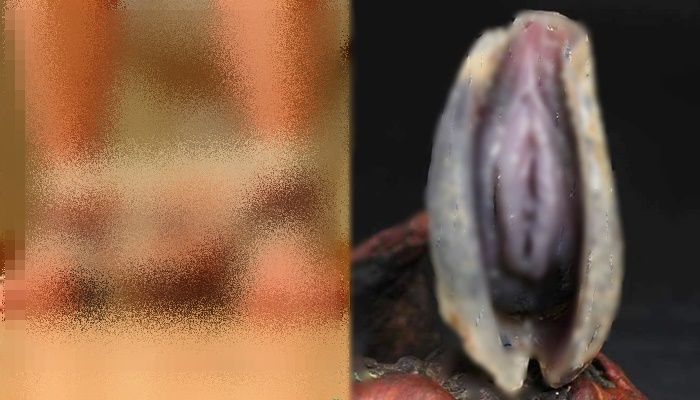 Pria Jomblo Puaskan Hasrat Berhubungan dengan 'Tiram', Hal Mengerikan Ini Terjadi