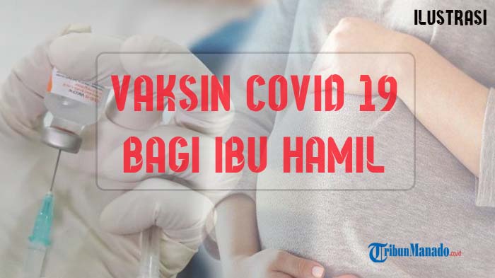 ilustrasi-vaksin-covid-19-bagi-ibu-hamil-di-sulut.jpg