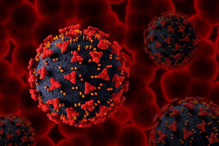 ilustrasi-virus-corona-omicron-siluman.jpg