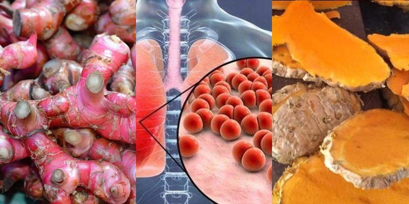 jahe-merah-virus-corona-dan-kunyit-4455.jpg