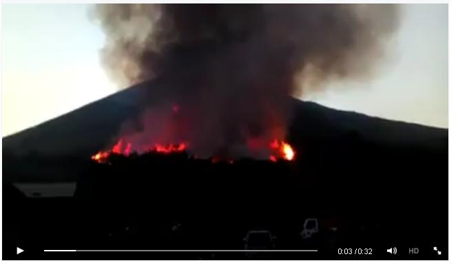 Luas Hutan Sulut yang Ludes Terbakar Capai 5.683 Hektar