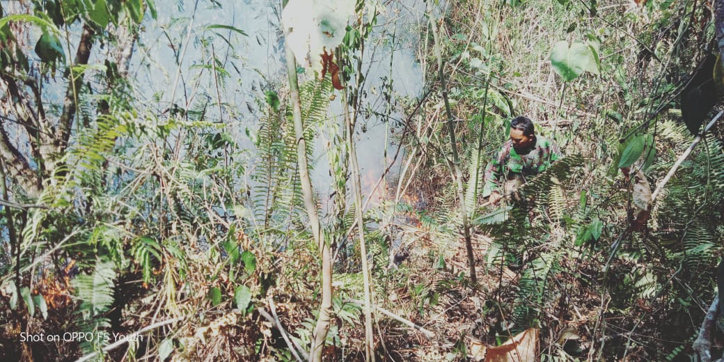 kebakaran-hutan-di-gunung-klabat.jpg