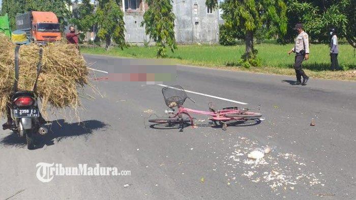 Kecelakaan Maut Pukul 09.45 WIB, Pesepeda Tewas Ditabrak Truk, Pengemudi Diduga Tidak Konsentrasi