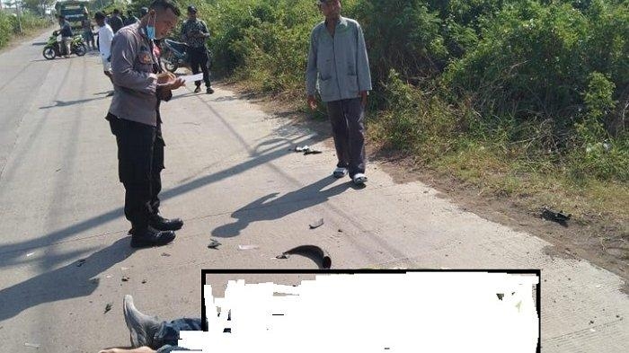 kecelakaan-maut-pengendara-motor-tewas-setelah-menabrak-kerbau-di-kendal.jpg