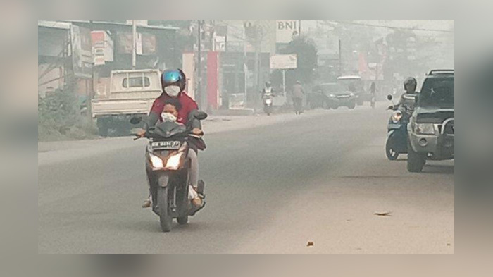Pemerintah Telah Menyegel Puluhan Perusahaan, Diduga Lakukan Praktek Nakal, Sebabkan Kebakaran Hutan