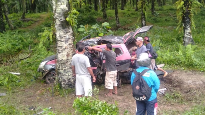 Kecelakaan Maut Pukul 09.00 WIB, 5 Orang Tewas usai Mobil dengan Kecepatan Tinggi Menabrak Pohon