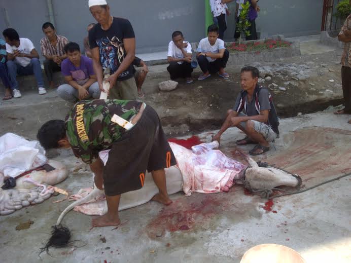 BREAKING NEWS: Dua Ekor Sapi Disembelih di Lapas Tewaan Bitung