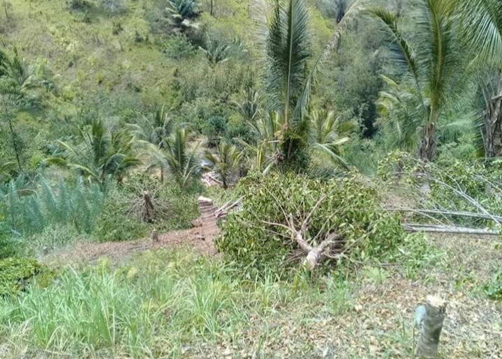 Kasus Oknum Hukum Tua dan Aparat Desa yang Bertindak Arogansi di Dalami Polisi