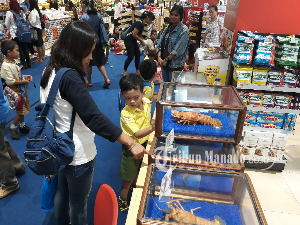 Garry Belajar Lobster yang Dilindungi dari Pameran BKIPM Manado