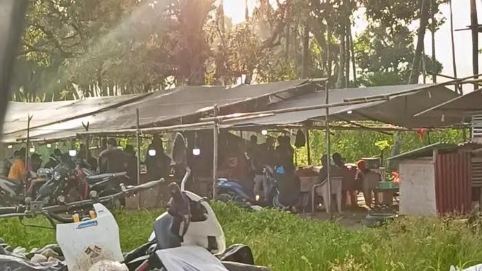 Praktik Sabung Ayam di Mitra Sulut Kembali Dibuka, Warga Minta Polisi Tindak Tegas Para Pelaku
