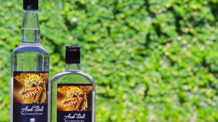 Manfaat Arak Bali, Minuman Beralkohol Khas Pulau Dewata, Bisa Dijadikan Oleh-oleh