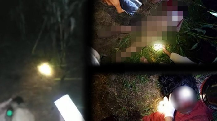 Mayat Wanita di Bali Ditemukan dalam Kondisi Mengenaskan di Kebun Jagung