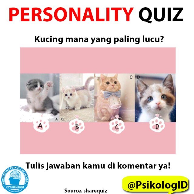 Menurut Kamu Kucing Mana yang Paling Lucu? Apa yang Kamu Pilih Akan Ungkap Kepribadianmu!