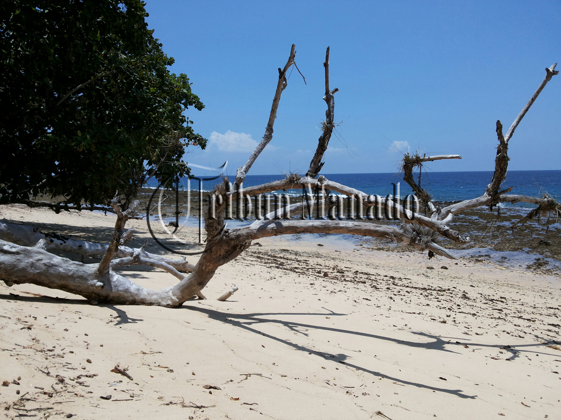 pantai-tanjung-dulang_3_20160410_232148.jpg