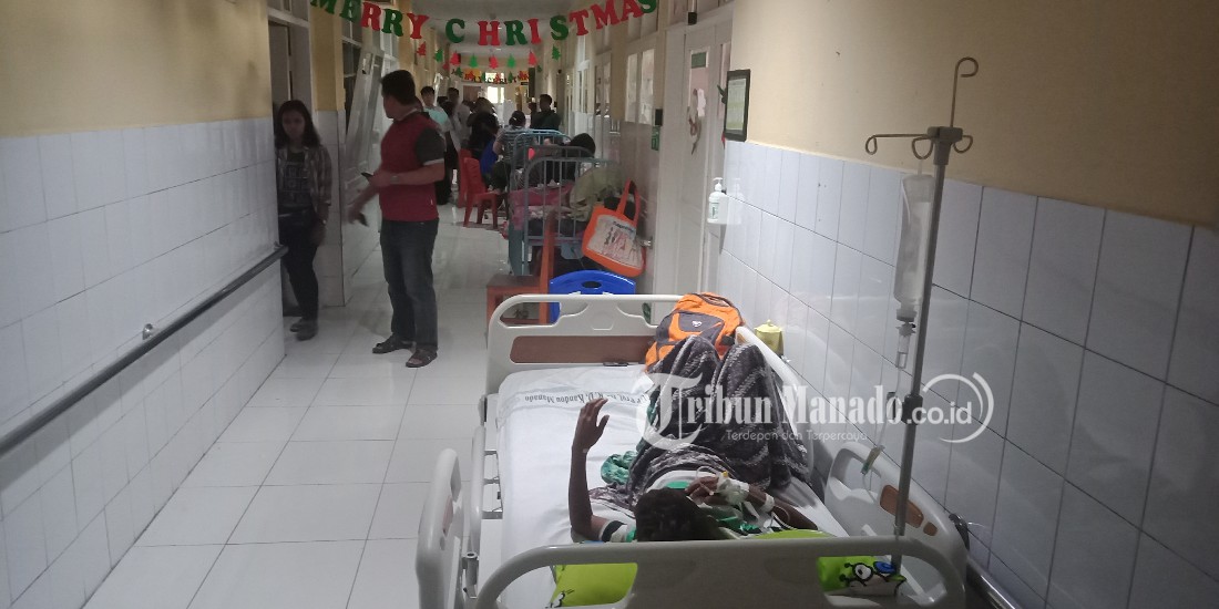 DBD Meningkat di Sulut, Ada Warga Gunakan Pengobatan Alternatif dari Daun Pepaya hingga Kaki Anjing