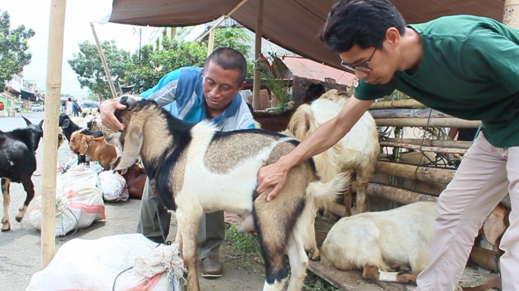 pemeriksaan-hewan-kurban-di-kotamobagu_20180821_204618.jpg