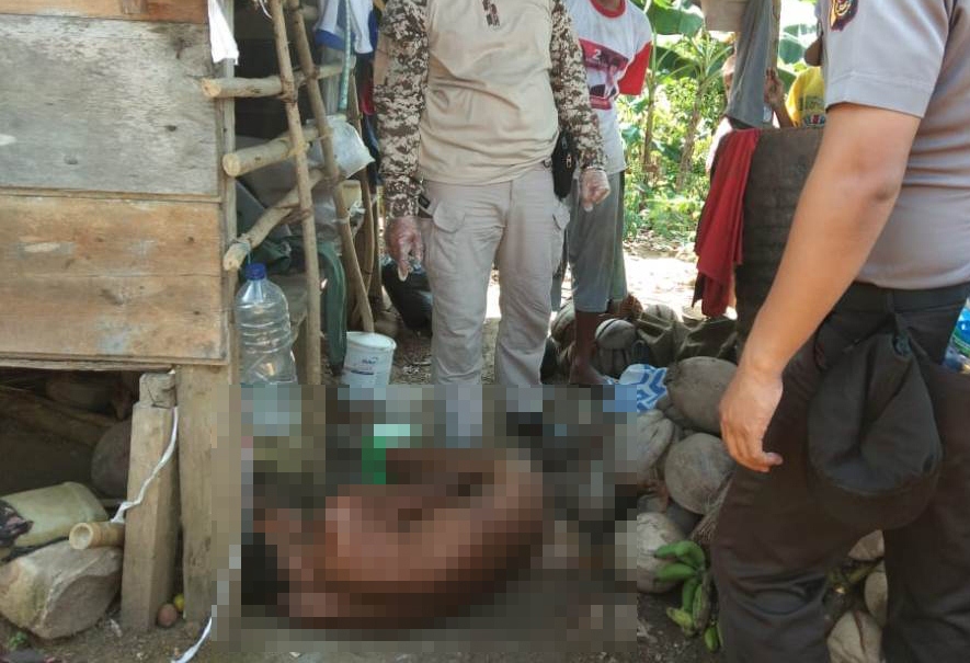 HEBOH Warga Desa Linawan Ditemukan Tewas di Kebun Tanpa Pakaian