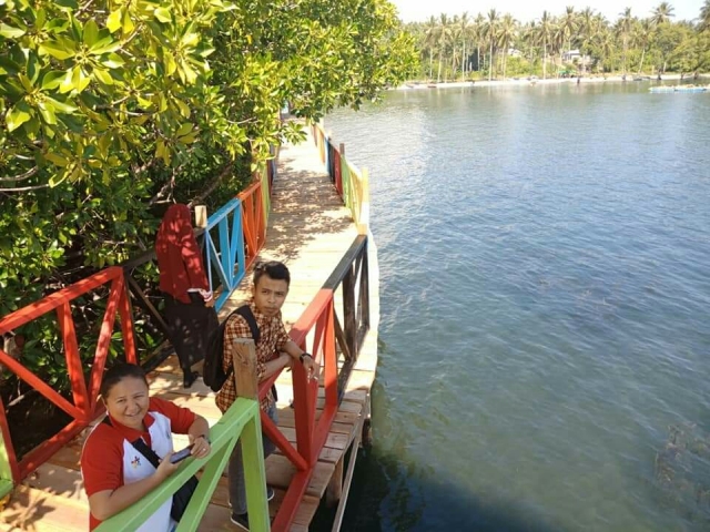 pesona-wisata-jembatan-mangrove-transpatoa-bolsel.jpg
