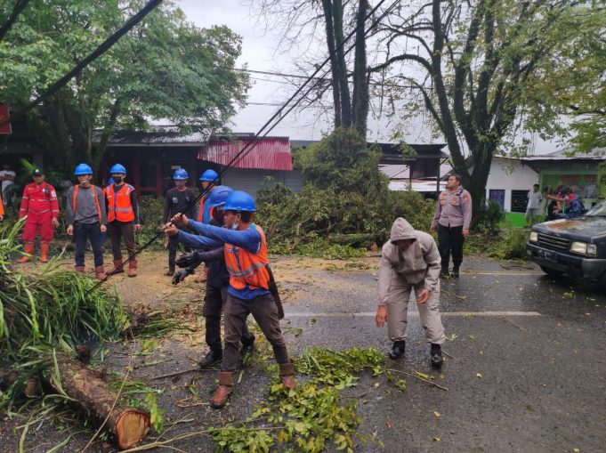 pohon-tumbang-di-jalan-adam-pedolot-kotamobagu-barat-jhjghj78kjk.jpg