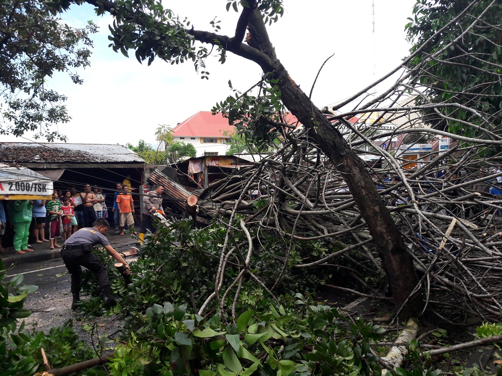 pohon-tumbang-di-teling-atas.jpg