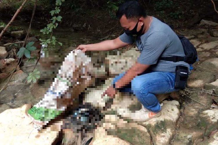 polisi-gelar-olah-tkp-penemuan-jasad-bayi-laki-laki-di-kawasan-hutan.jpg
