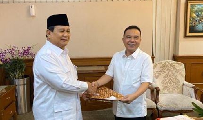 Sufmi Dasco Minta Kader Gerindra Cabut Baliho Prabowo Subianto yang Terindikasi Kampanye Hitam