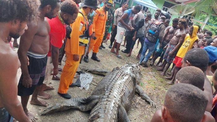 Seorang Pria Ditemukan Tak Utuh saat Dikeluarkan dari dalam Perut Buaya