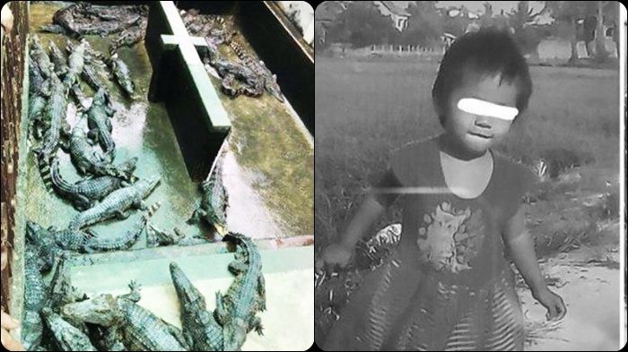 Balita Dua Tahun Jatuh ke Kandang Buaya, Sang Ibu Histeris, Dikuliti hingga Tersisa Bagian Tengkorak