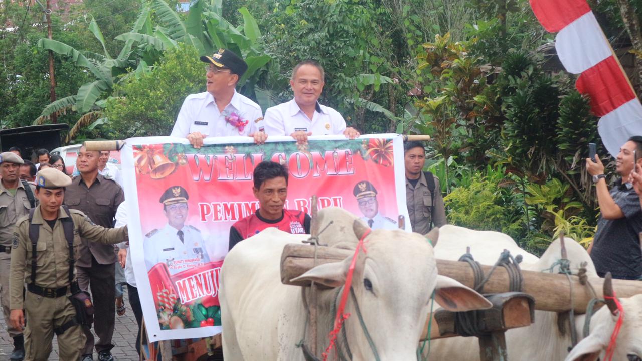 Bupati Minahasa Safari Natal dengan Roda Sapi