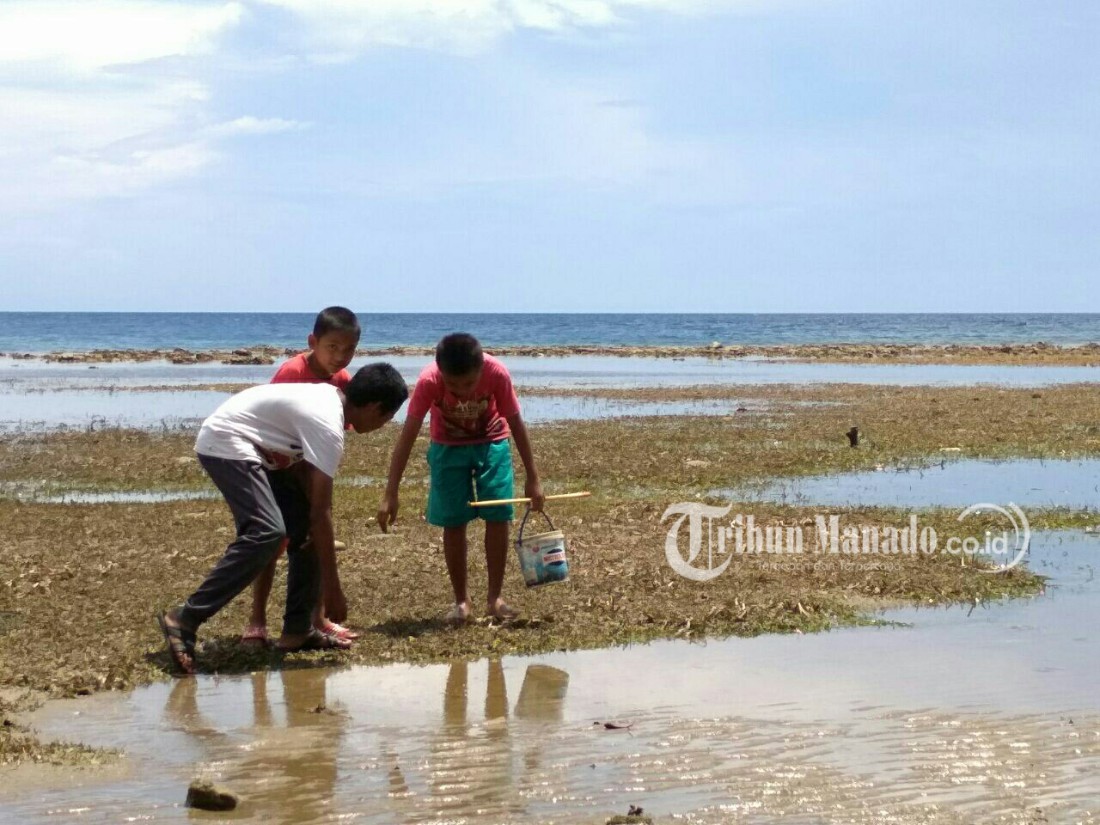 saat-anak-anak-sedang-memburu-kerang.jpg