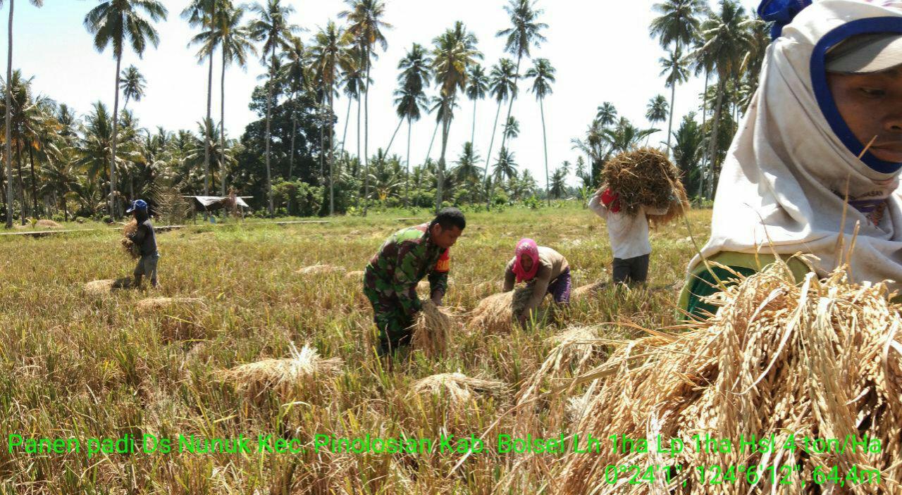 Safihuddin Siap Bantu Petani Hasilkan Pangan Nasional, Sekaligus Makin Melekat dengan Masyarakat