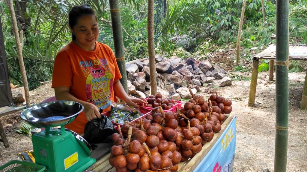 Salak Pangu Menjadi Ikon Mitra, Rasa Manisnya Tak Ada di Daerah Lain